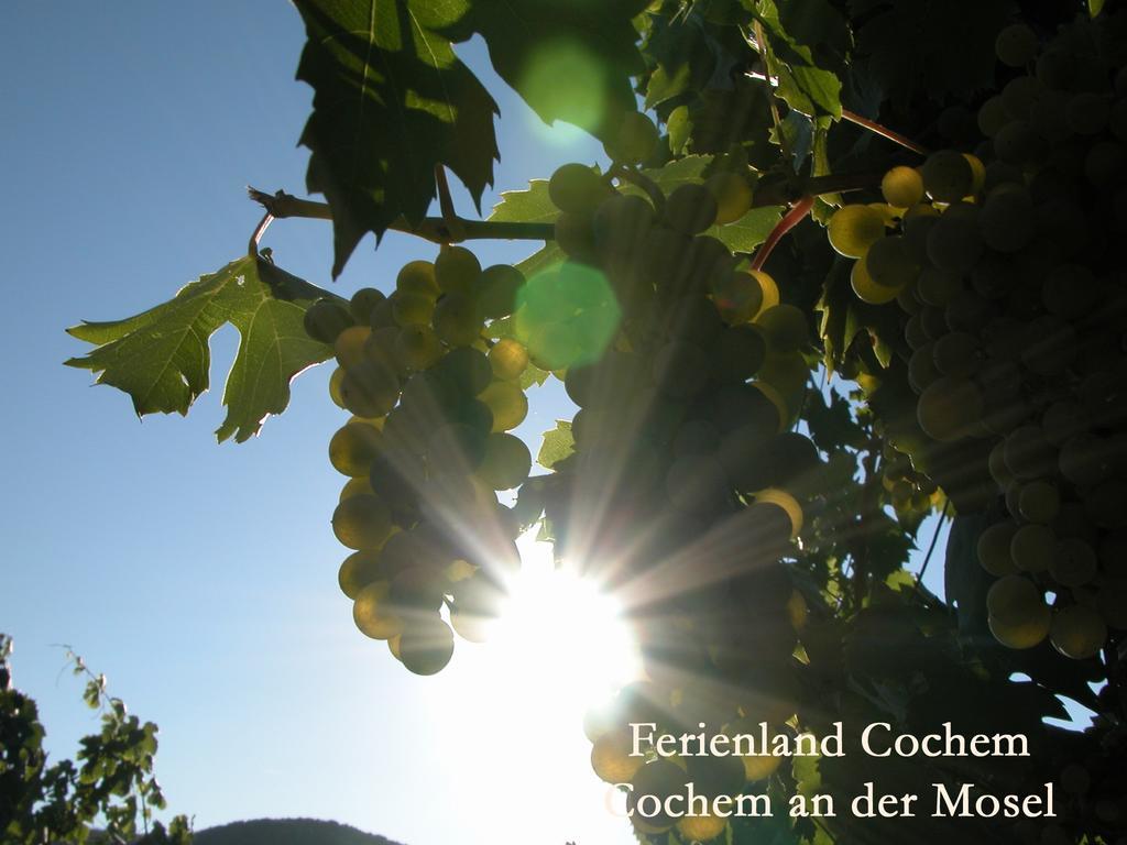 Ferienwohnungen Ferienland Cochem 브루티크판켈 외부 사진