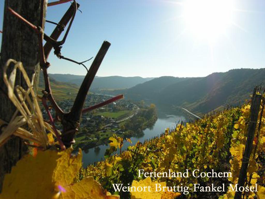 Ferienwohnungen Ferienland Cochem 브루티크판켈 외부 사진